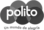 Inicio 3 logo_polito